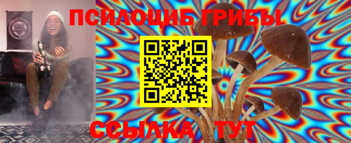 Псилоцибиновые грибы Magic Shrooms Прокопьевск